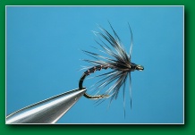 soft_hackle_midge_black