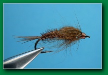 pheasant_tail