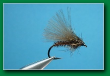 pheasant_tail_caddis