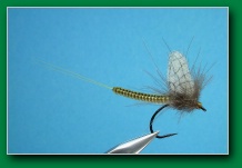 woven_bo_mayfly