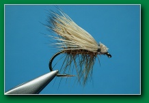 elk_hair_caddis