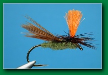 hi_viz_caddis