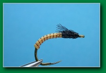 buckskin_caddis