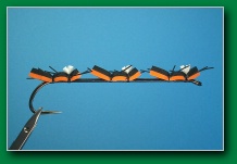 cherynoble_soldier_ant_column