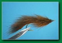 squirrel_leech