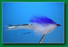 blue_back_minnow