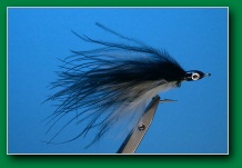 mini_black_back_minnow
