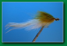 mini_golden_olive_back_white_minnow