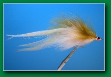 yukon_golden_back_whitefish_minnow