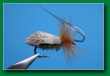 goddard_caddis