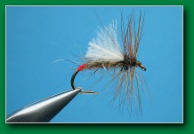 hares_face_midge