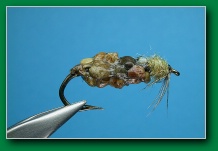 stone_case_caddis_larva