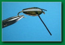 water_boatman