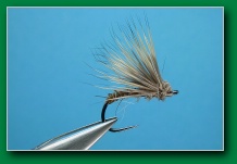 caddis