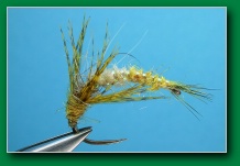 case_seeker_caddis