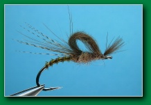 cdc_biot_emerger