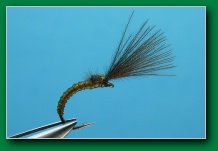 once_away_30
