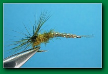 rcs_emerger_olive