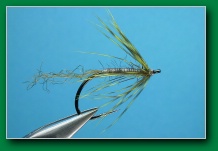 trailing_shuck_soft_hackle