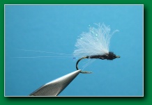 tail_water_emerger