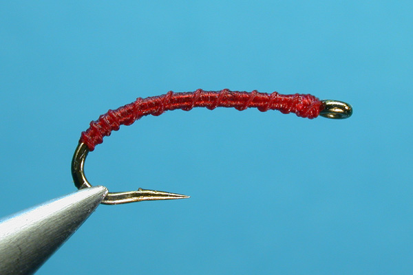 download dried blood worms download dried blood worms