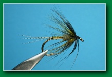 green_drake_emerger