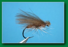 cdc_caddis