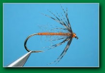 partridge_orange