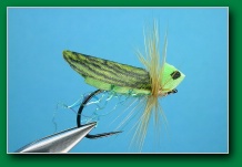 green_grasshopper