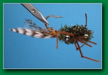 crazy_crab