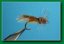 spent_partridge_caddis