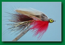 mtb_killifish_brown