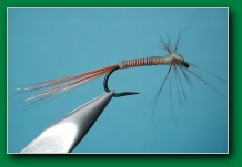 hackle_spinner