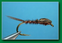 pheasant_tail_nymph