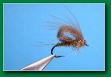 loop_wing_emerger