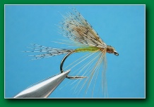 partridge_emerger