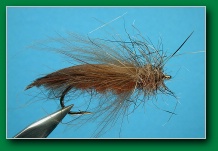 brown_caddis