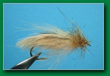 cream_caddis