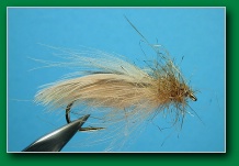 cream_caddis