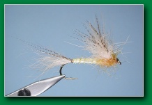 ssrf_emerging_mayfly