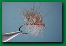 ssrf_sedge