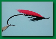 delta_red_wing_spey