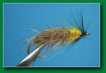 cased_caddis