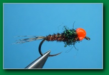 pheasant_tail_orange