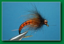 eyed_caddis_nymph