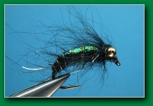 h_h_sedge_pupa_black