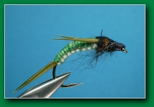 horned_sedge_pupa_green