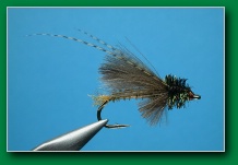 cdc_biot_caddis_emerger