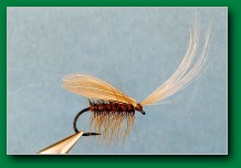 double_wonderwing_caddis