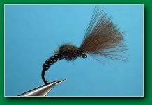 cdc_black_midge_emerger